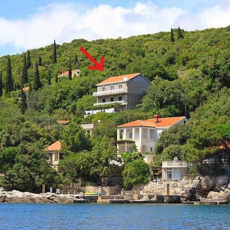 Apartments Antunovic مولونات المظهر الخارجي الصورة